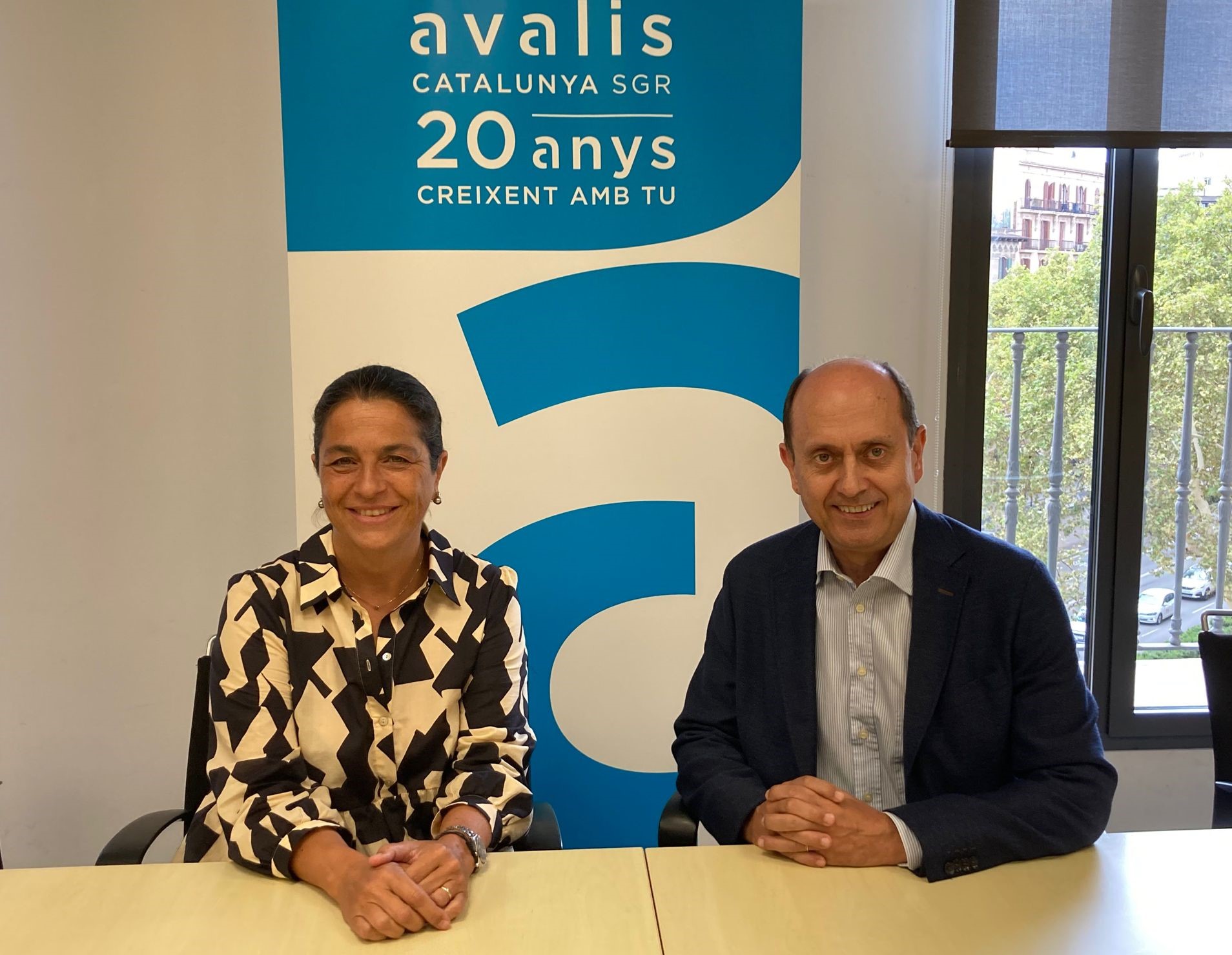 Relleu al capdavant d’Avalis de Catalunya